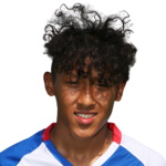 B. Powell Defender