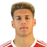 N. Baranyai Defender