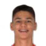 L. von Hellens Defender