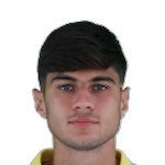 G. Guarino Defender