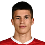 M. Majstorović Defender