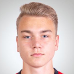 N. Bozov Defender