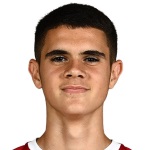K. Nedeljković Defender