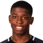 D. Bagou Attacker