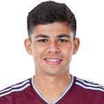 A. Markanich Defender