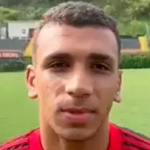 Petterson Attacker