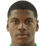 Ó. Perea Attacker