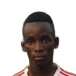 G. Vadze Attacker