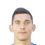 V. Bulatović Defender