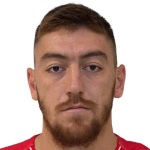 M. Pavkov Attacker
