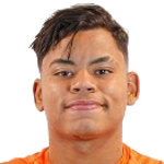 S. Castillo Attacker