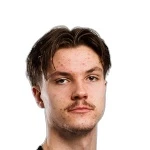 L. Väyrynen Goalkeeper