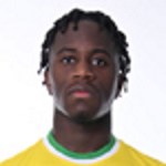 M. Diaz Defender