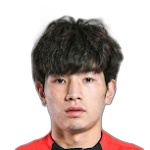 Wu Junjie Defender