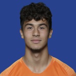 R. Hillen Defender