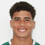 Pedro Junqueira Attacker
