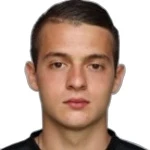 N. Mihajlović Attacker