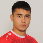 N. Miličić Defender