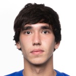N. Ermakov Midfielder