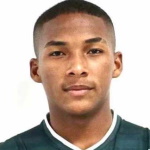 A. Palacios Defender