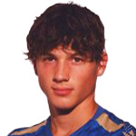 M. Šotiček Midfielder