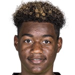 Y. Roemer Attacker