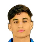 Mohamed Zidan Attacker