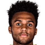 E. Palmer-Brown Defender