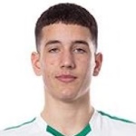 D. Gül Attacker