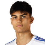 N. Sernelius Midfielder