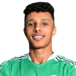 Ahmed Eid Abdel Naby Attacker