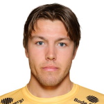 F. Bjørkan Defender