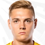 A. Sokol Defender