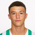 J. Živković Attacker