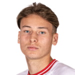 Jesse van de Haar Attacker