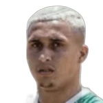 Abner Vinícius Attacker