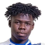 L. Namgbema Defender