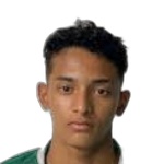 Halerrandrio Attacker