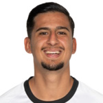 R. Fernandes Defender