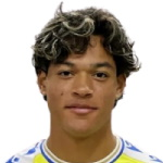 Francis Castillo-Orellana Attacker