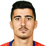 M. Briceag Defender