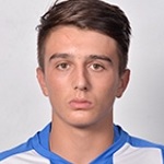 Ș. Vlădoiu Defender