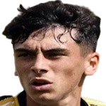 D. Pugno Attacker