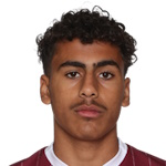N. Dobson Attacker