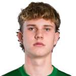 L. Bērziņš Defender