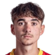 F. Večeřa Attacker