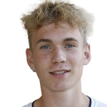 F. Andersen Defender