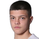 L. Peić Defender