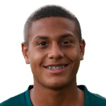 J. Arango Attacker