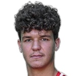 Ä. SkoÄajiÄ Attacker